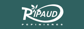 Logo SCA GEORGES RIPAUD