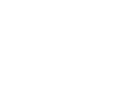 Logo SCALESQUAD