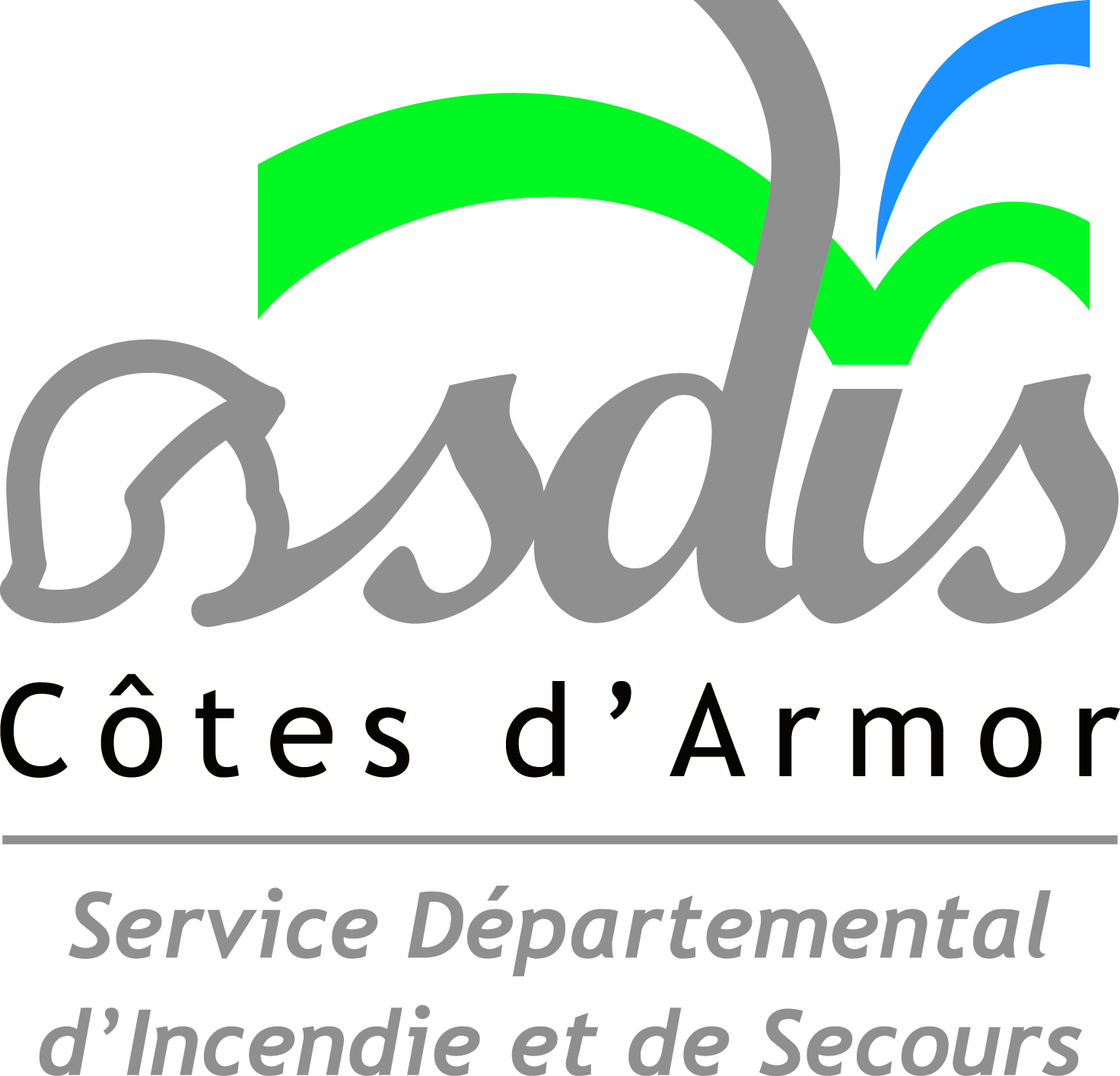 Logo SCE DEPARTEMENTAL INCENDIE ET SECOURS (SDIS)