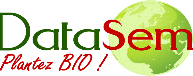 Logo SCEA DATASEM