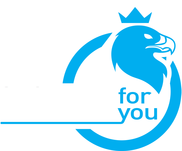 Logo SECURITE FOR YOU