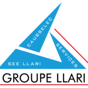 Logo SEE LLARI
