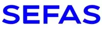 Logo SEFAS INNOVATION
