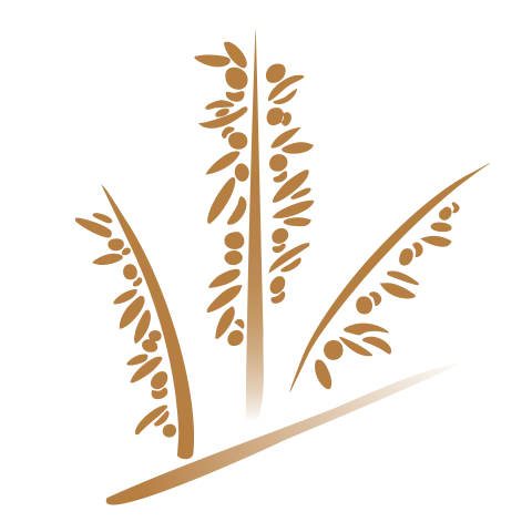 Logo SEFJ AVOCATS
