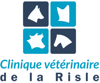 Logo SELARL VETERINAIRE DE LA RISLE