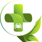 Logo SELAS BORDI ALEXANDRA