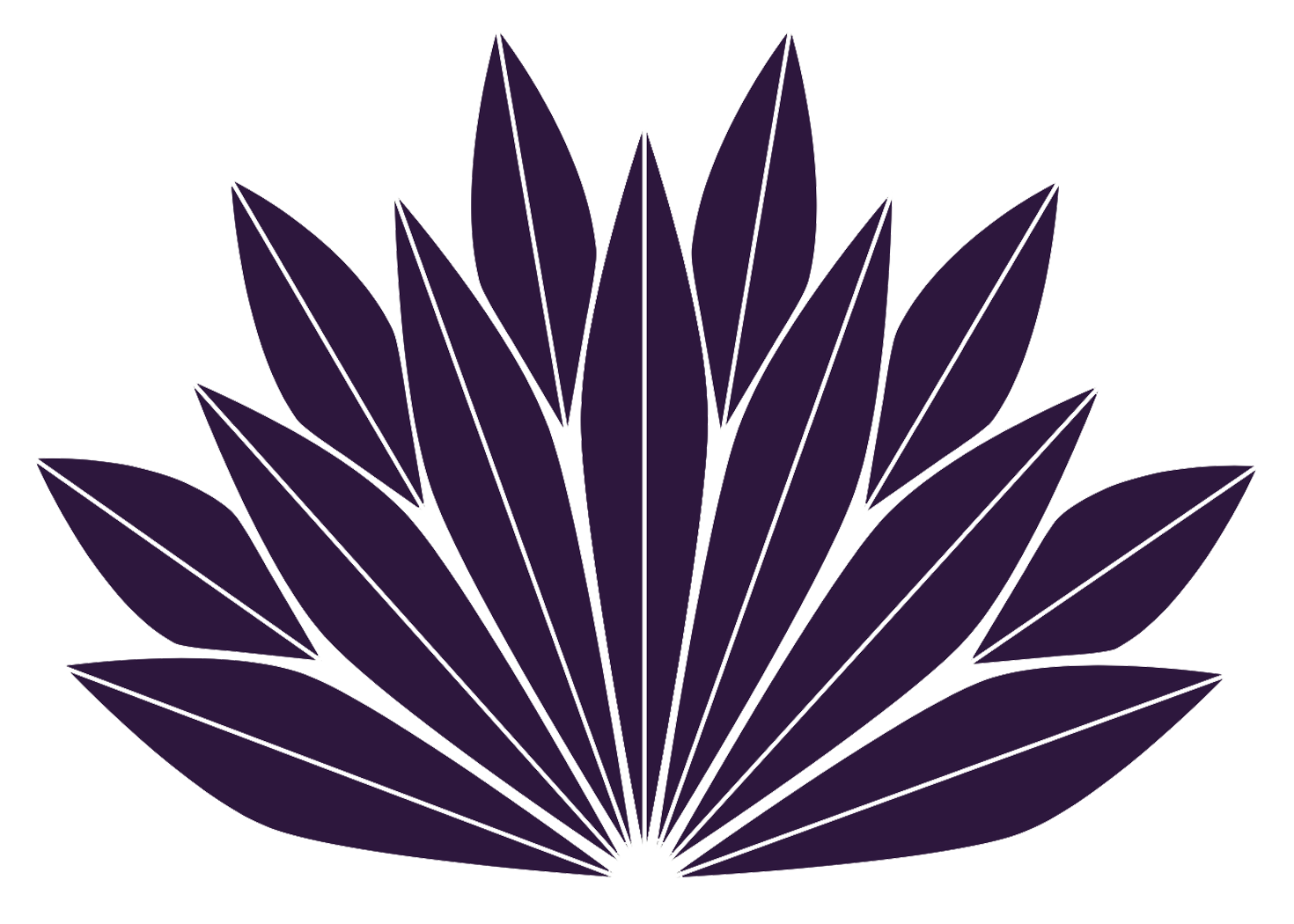 Logo SENARIZ