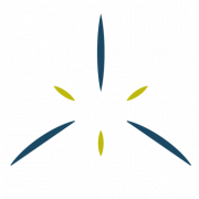 Logo SEPALE
