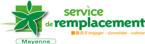 Logo SERVICE REMPL BAIS