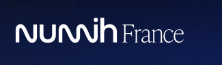Logo SIB