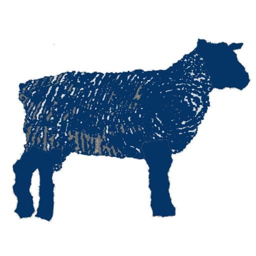Logo SICA LONGO MAI