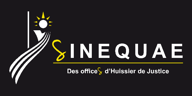 Logo SINEQUAE