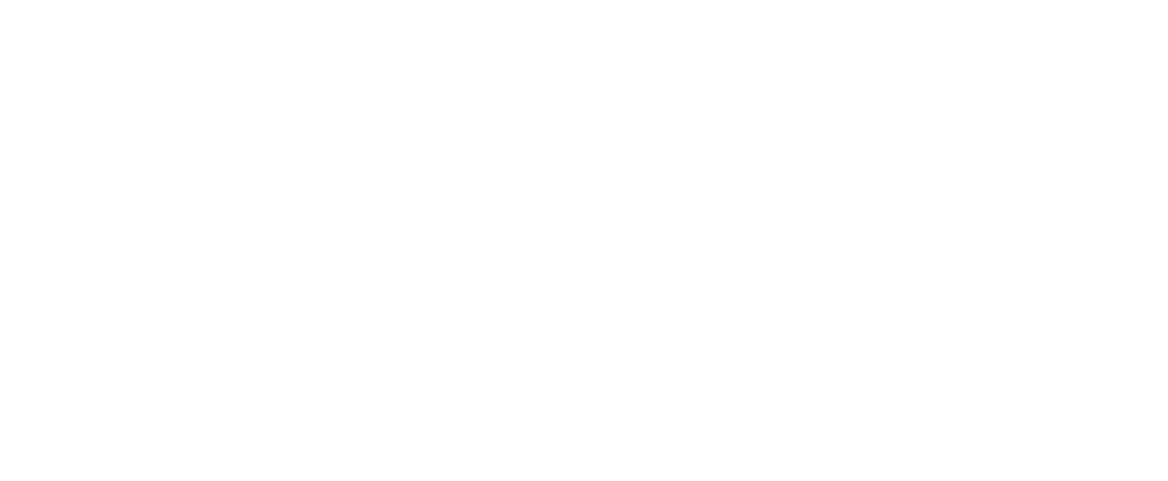 Logo SIVECO GROUP