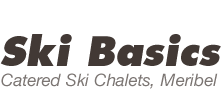 Logo SKI BASICS LIMITED