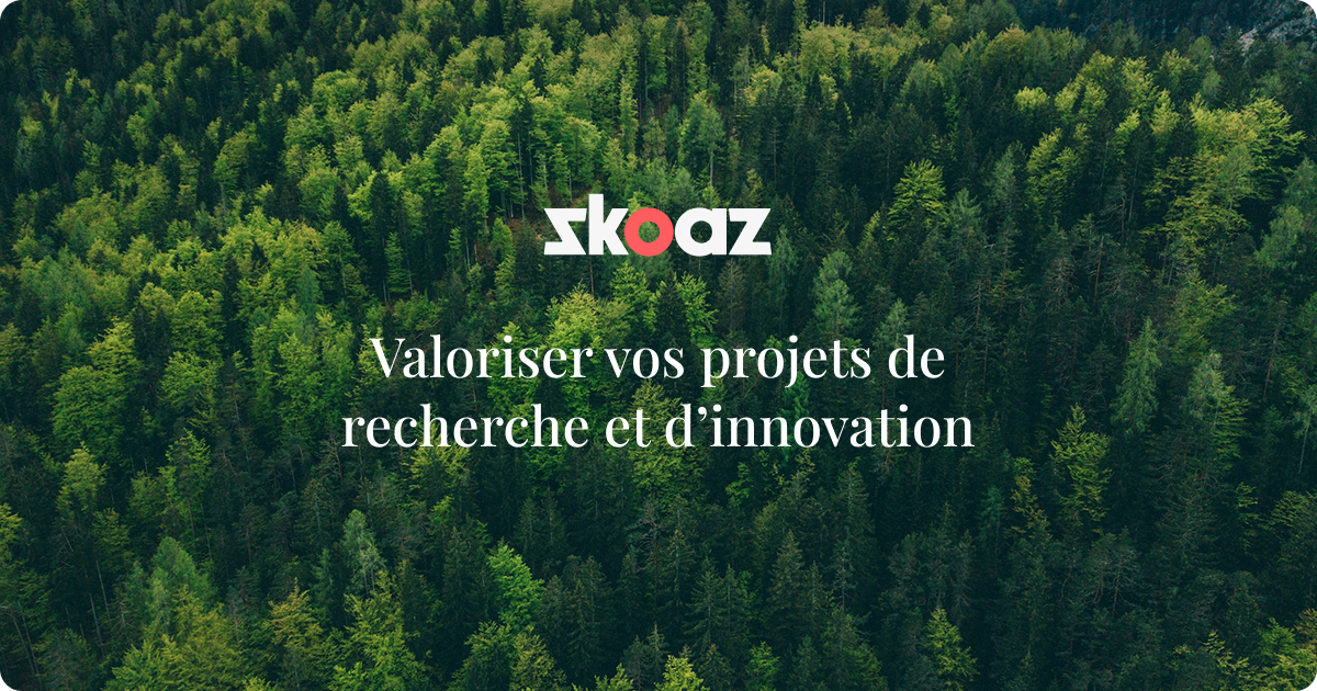 Logo SKOAZ