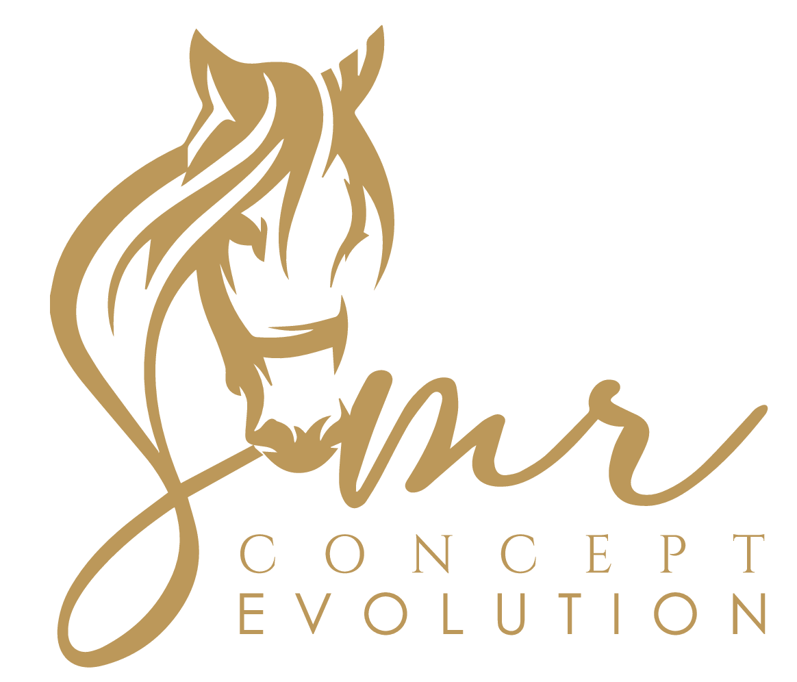 Logo SMR CONCEPT EVOLUTION