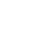Logo SMTS