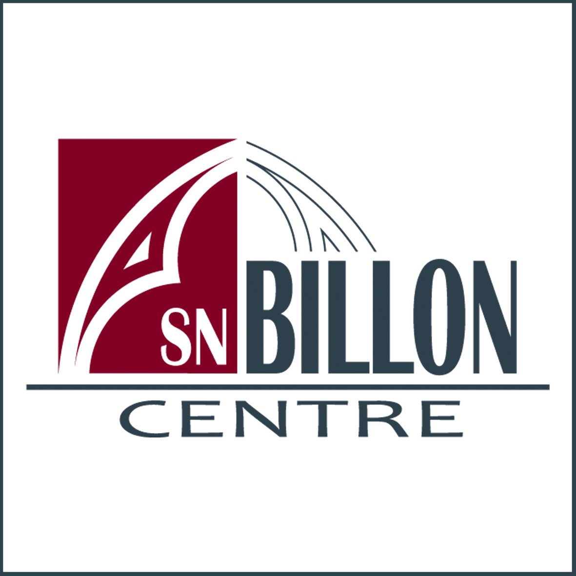Logo SN BILLON CENTRE