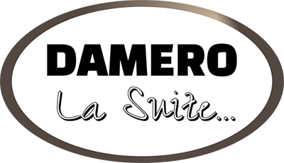 Logo SNC DAMERO LA SUITE ... (BAR DE LA HALTE)