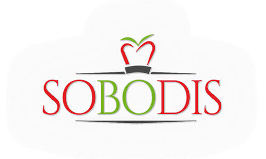 Logo SO.BO.DIS