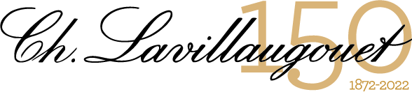 Logo SOC CH LAVILLAUGOUET