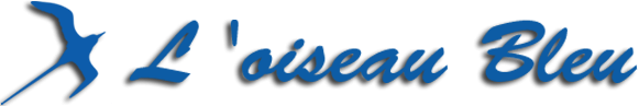 Logo SOC TRANSPORTS L'OISEAU BLEU