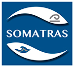 Logo SOCIETE MARTINIQUAISE DE TRAVAUX SPECIAUX (SOMATRAS)