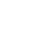 Logo SOCIETE NOUVELLE ZONCA