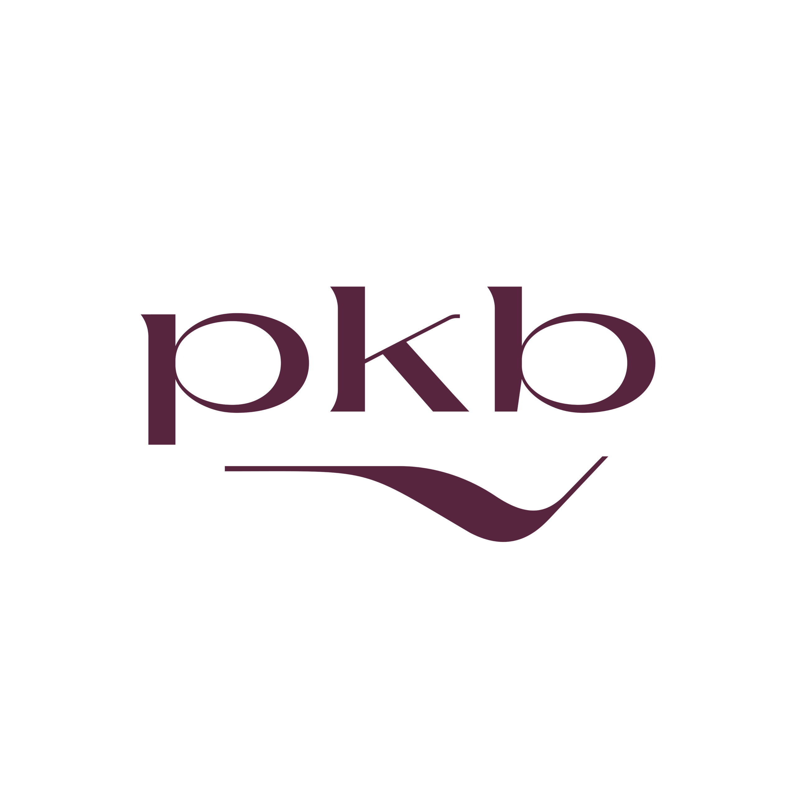 Logo SOCIETE P K B
