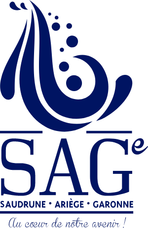Logo SOCIETE PUBLIQUE LOCALE LES EAUX DU SAGE