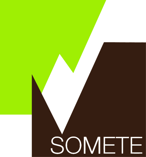 Logo SOMETE MEDIT ETUD TECH ENGINEE (SOMETE)