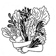 Logo SONAT