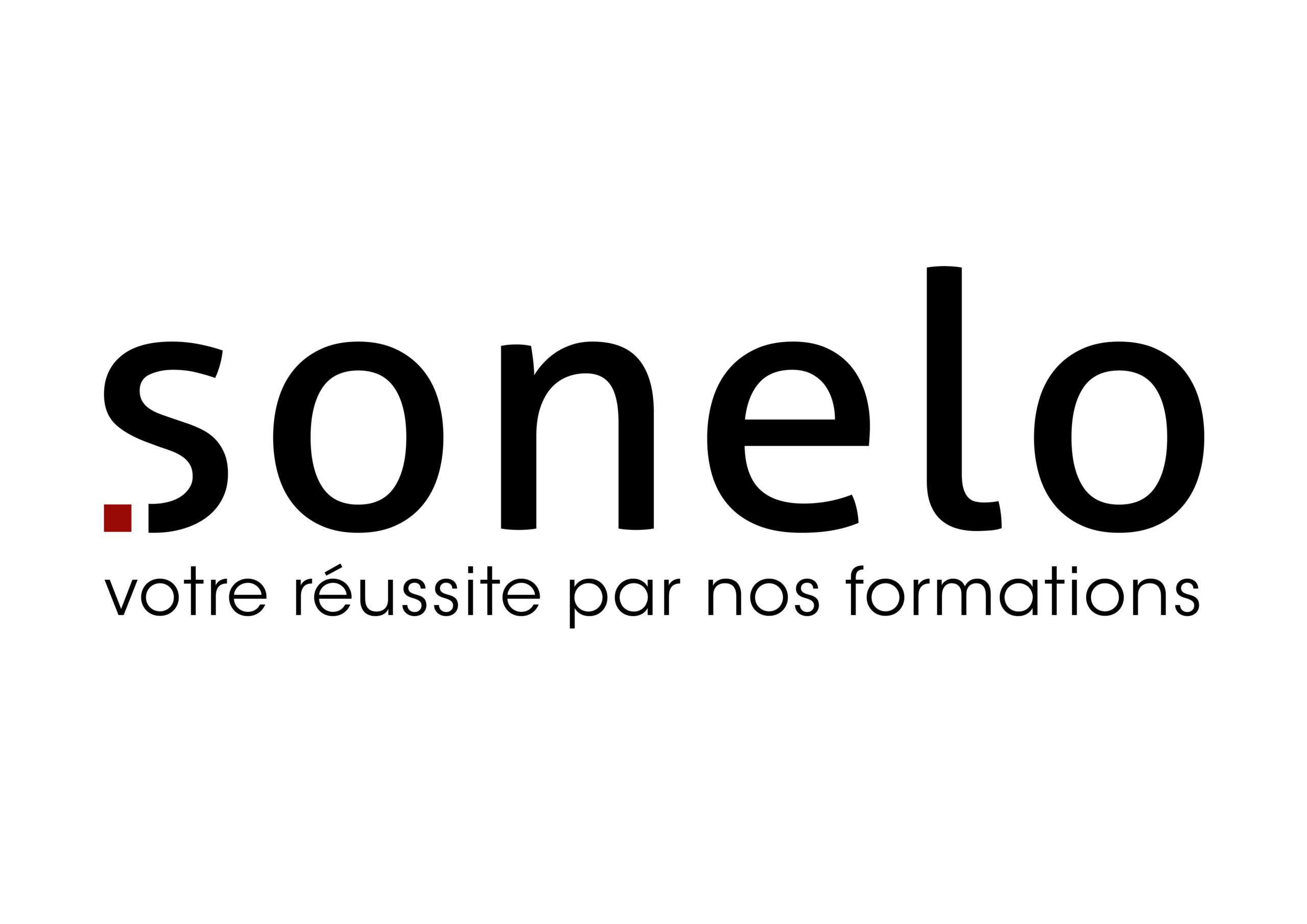 Logo SONELO