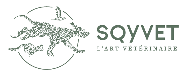 Logo SQYVET