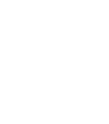 Logo STIHLE FRERES