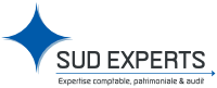 Logo SUD EXPERTS