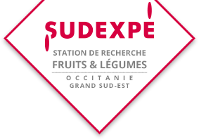 Logo SUDEXPE (CEHM)