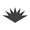 Logo SUPPORT LEFLAIVE