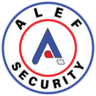 Logo SURGYS SECURITE PRIVEE