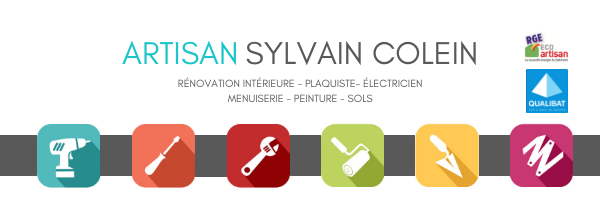 Logo SYLVAIN COLEIN (SYLVAIN COLEIN)