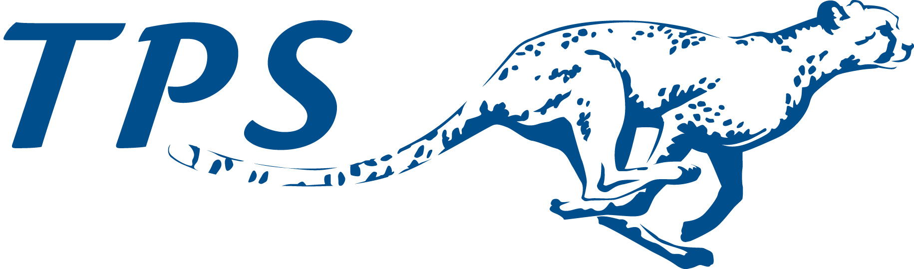 Logo T PLUS SERVICES