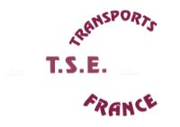 Logo T S E FRANCE