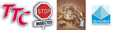Logo T.T.C STOP INSECTES