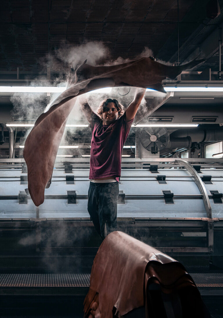 Logo TANNERIES HAAS