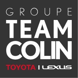 Logo TEAM TOY MEAUX