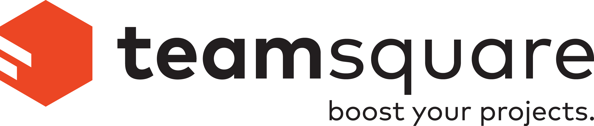 Logo TEAMSQUARE