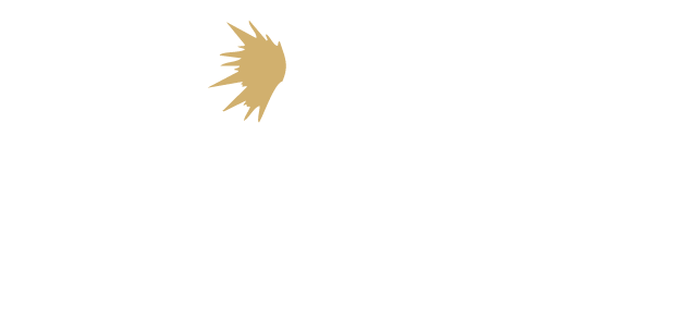 Logo TECHNI METAL