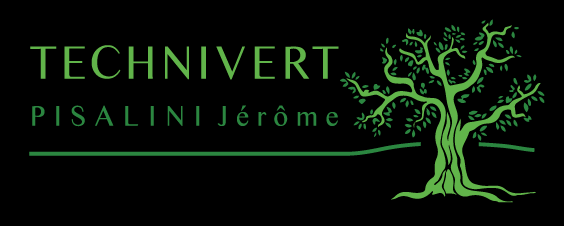 Logo TECHNIVERT