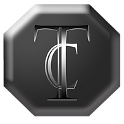 Logo TECKHAL CONSEILS SECURITE