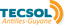 Logo TECSOL ANTILLES & GUYANE (TECSOL ANTILLES)
